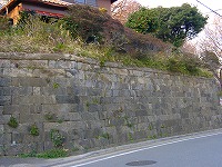 ñutς2